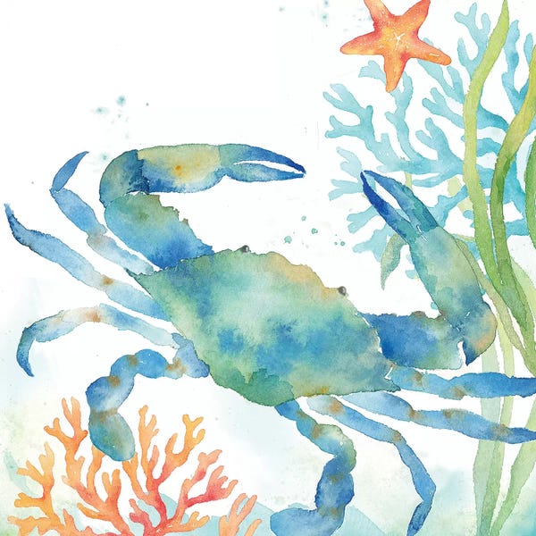 Crabs: Sea Life Serenade II by Cynthia Coulter