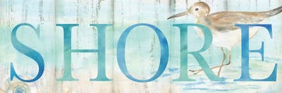 Shore Sandpiper Sign by Cynthia Coulter framed canvas print