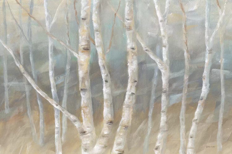 Silver Birch Landscape