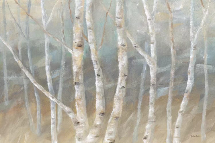 Silver Birch Landscape by Cynthia Coulter wall art