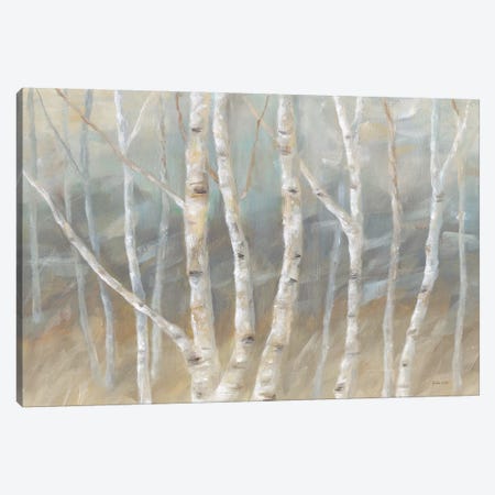 Silver Birch Landscape Canvas Print #CYN71} by Cynthia Coulter Art Print