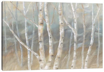 Silver Birch Landscape Canvas Art Print