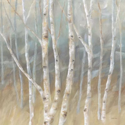 Silver Birch Square by Cynthia Coulter framed wall art