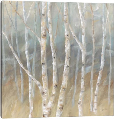 Silver Birch Square Canvas Art Print - Birch Tree Art