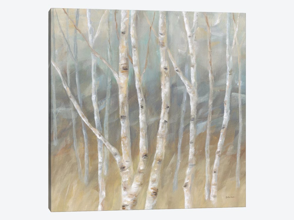 Silver Birch Square by Cynthia Coulter 1-piece Canvas Wall Art