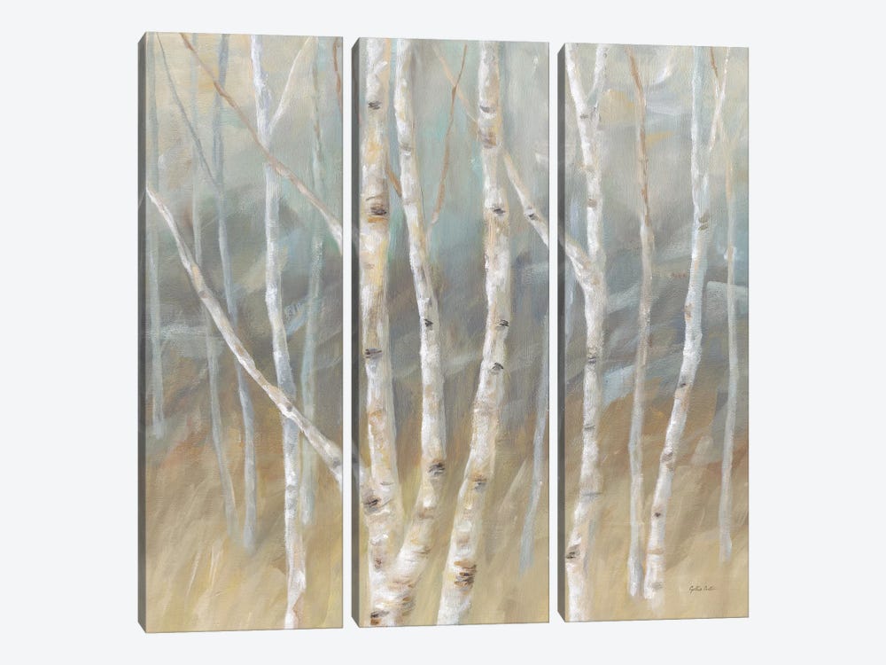 Silver Birch Square by Cynthia Coulter 3-piece Canvas Art