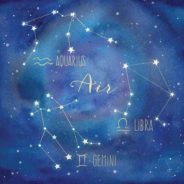 Gemini: Star Sign Air by Cynthia Coulter