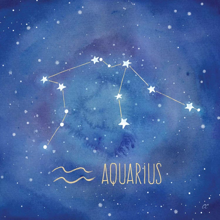 Star Sign Aquarius by Cynthia Coulter wall art