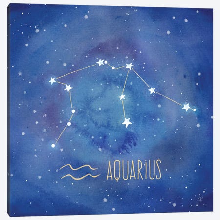 Star Sign Aquarius Canvas Print #CYN76} by Cynthia Coulter Canvas Art