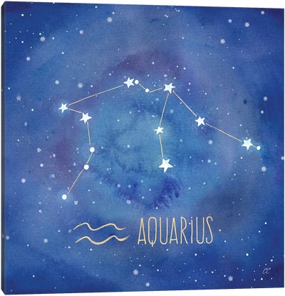 Star Sign Aquarius Canvas Art Print - Zodiac Art