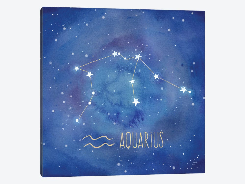 Star Sign Aquarius by Cynthia Coulter 1-piece Canvas Wall Art