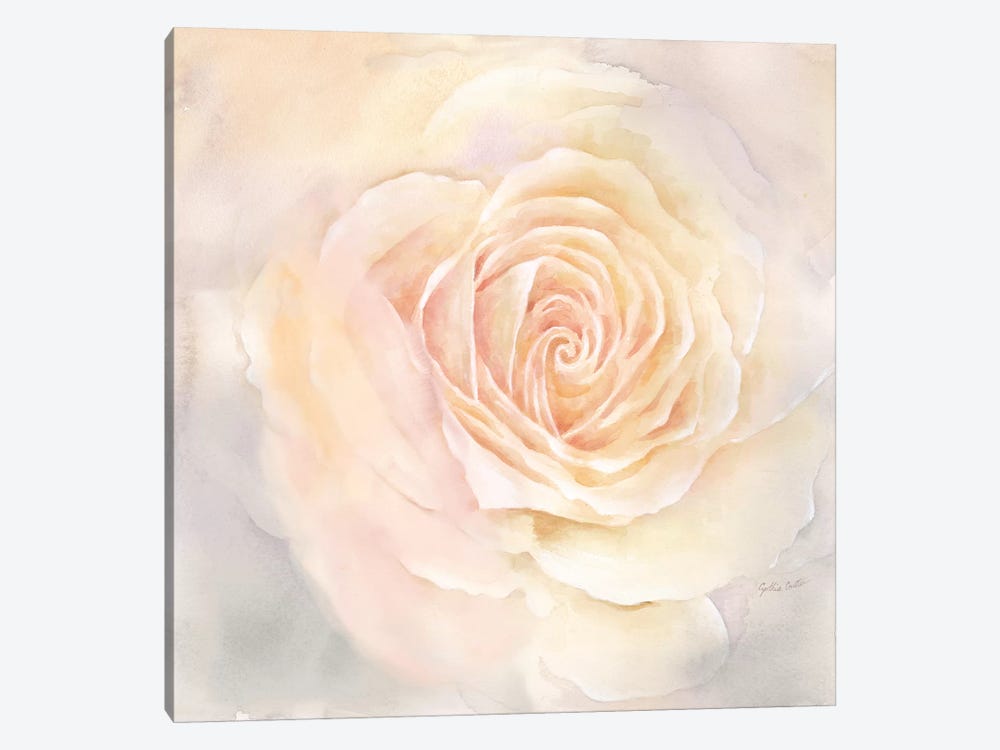 Blush Rose Closeup III by Cynthia Coulter 1-piece Art Print