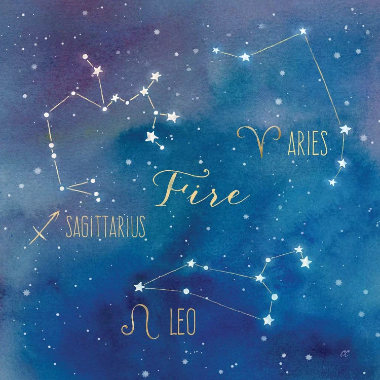 Star Sign Fire by Cynthia Coulter wall art