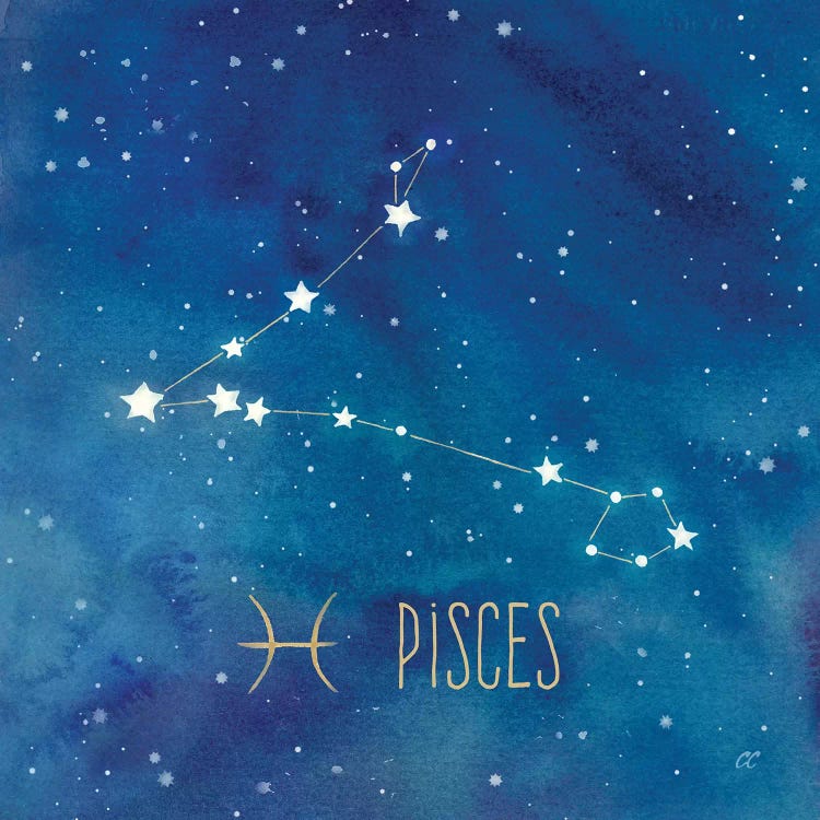Star Sign Pisces by Cynthia Coulter wall art
