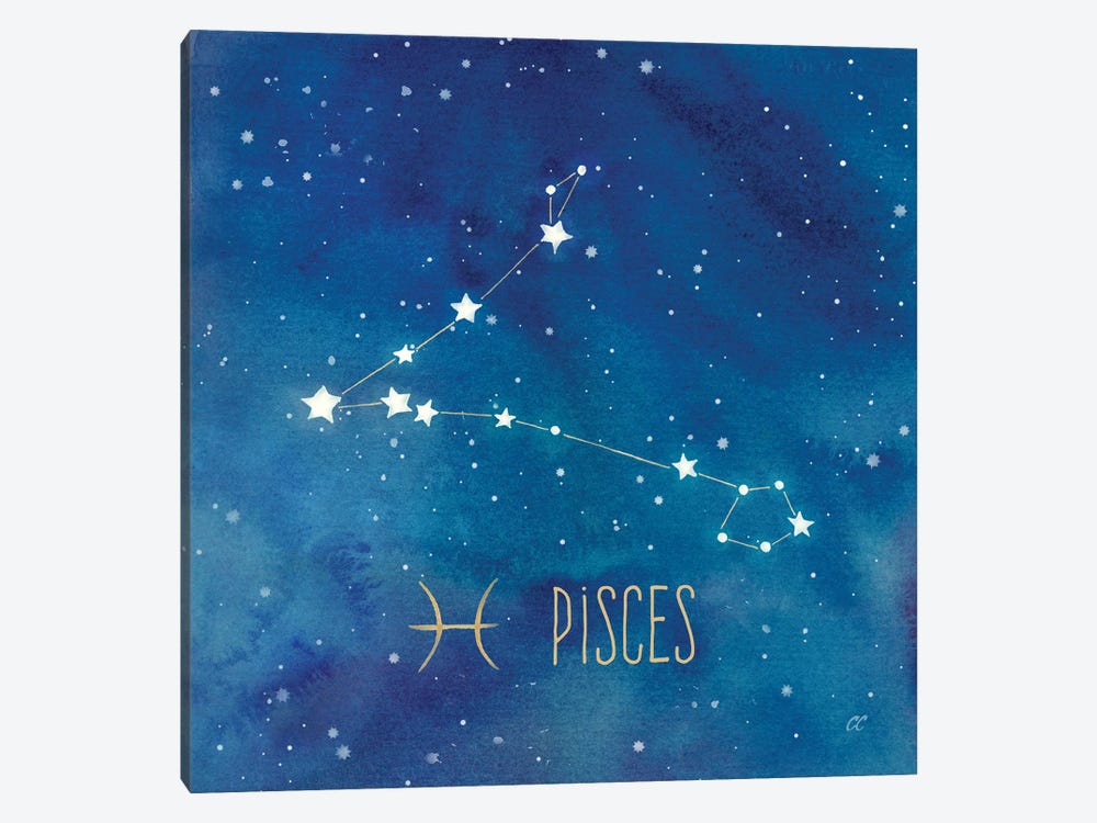 Star Sign Pisces by Cynthia Coulter 1-piece Canvas Art Print