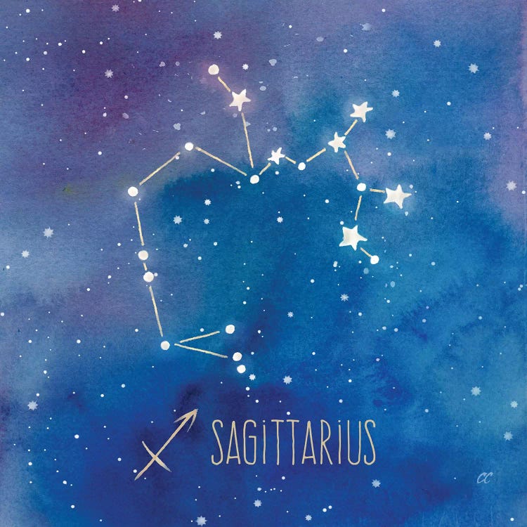 Star Sign Sagittarius by Cynthia Coulter wall art