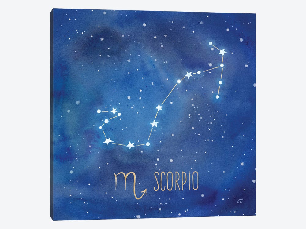 Star Sign Scorpio by Cynthia Coulter 1-piece Art Print
