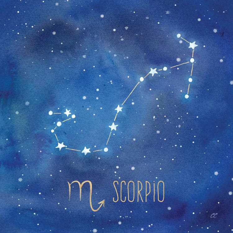 Star Sign Scorpio by Cynthia Coulter wall art
