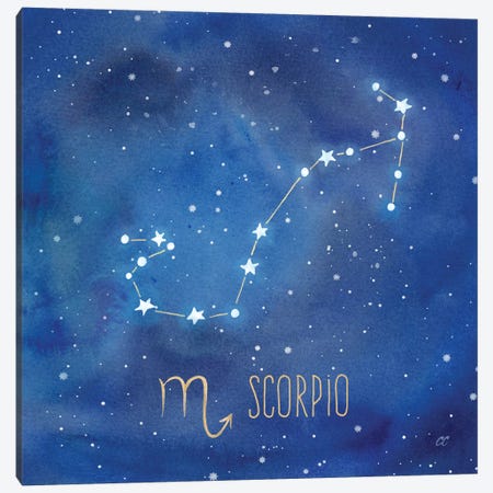 Star Sign Scorpio Canvas Print #CYN88} by Cynthia Coulter Canvas Artwork