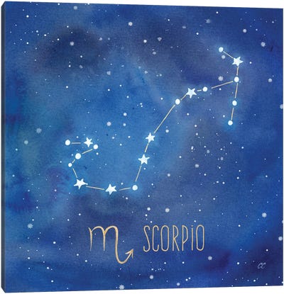 Star Sign Scorpio Canvas Art Print - Cynthia Coulter