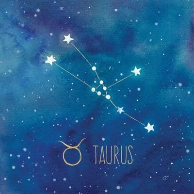 Star Sign Taurus by Cynthia Coulter metal wall art