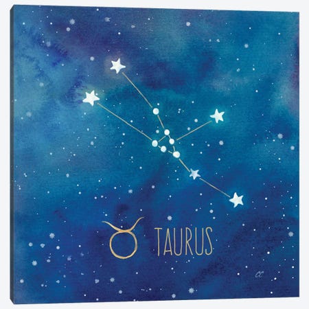 Star Sign Taurus Canvas Print #CYN89} by Cynthia Coulter Canvas Wall Art