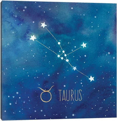 Star Sign Taurus Canvas Art Print - Cynthia Coulter
