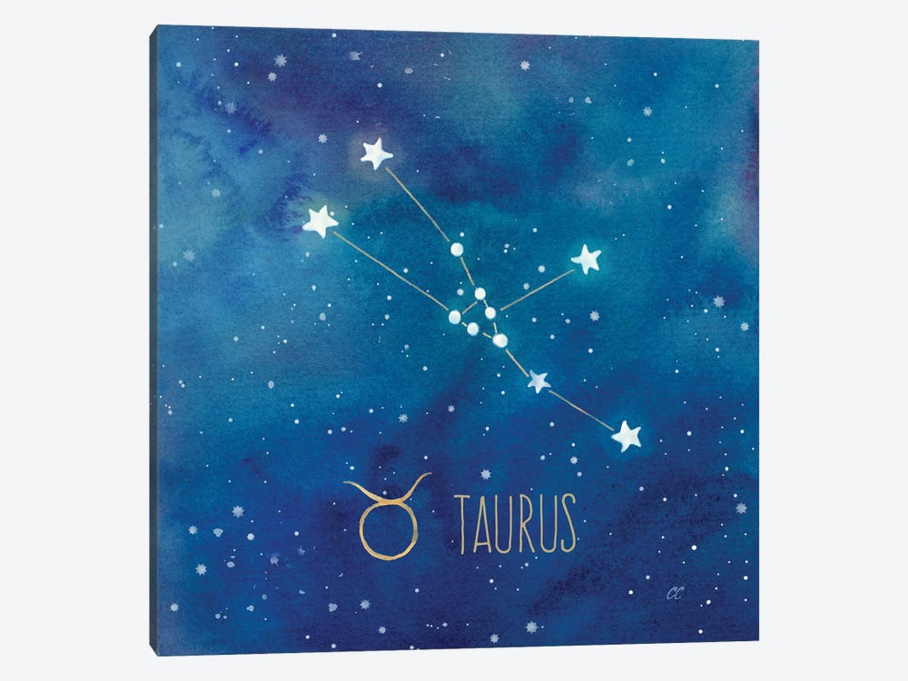 Star Sign Taurus by Cynthia Coulter 1-piece Canvas Artwork