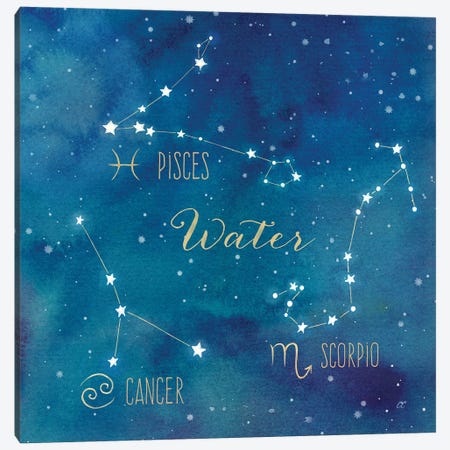 Star Sign Water Canvas Print #CYN91} by Cynthia Coulter Canvas Art Print