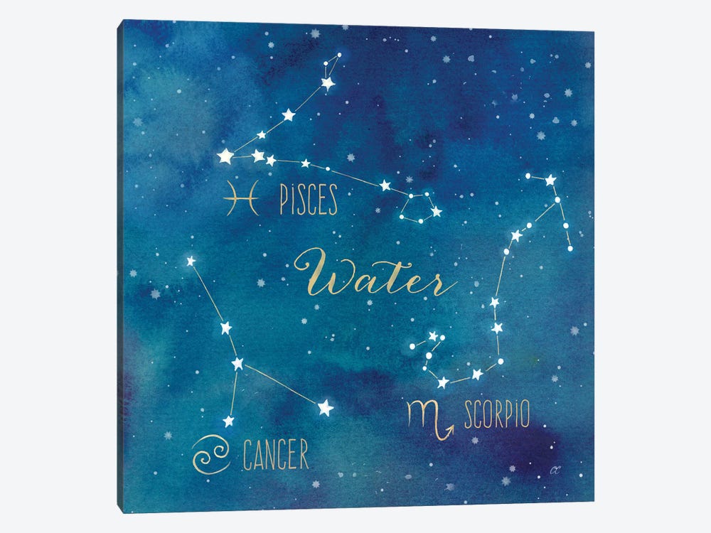 Star Sign Water by Cynthia Coulter 1-piece Canvas Art Print