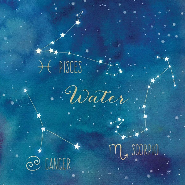 Pisces: Star Sign Water by Cynthia Coulter