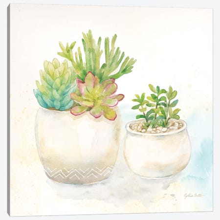 Sweet Succulent Pots I Canvas Print #CYN96} by Cynthia Coulter Canvas Art