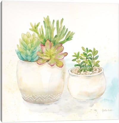 Sweet Succulent Pots I Canvas Art Print - Cynthia Coulter