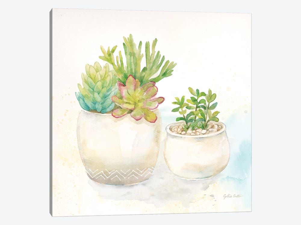 Sweet Succulent Pots I by Cynthia Coulter 1-piece Canvas Art