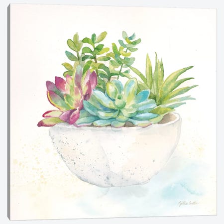 Sweet Succulent Pots II Canvas Print #CYN97} by Cynthia Coulter Canvas Art