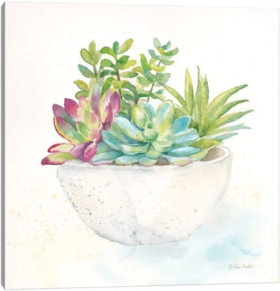 Sweet Succulent Pots II Canvas Art Print - Cynthia Coulter