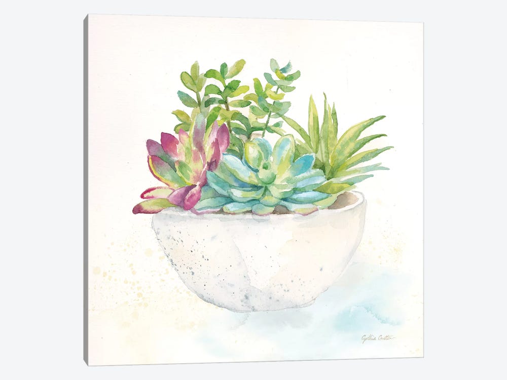 Sweet Succulent Pots II by Cynthia Coulter 1-piece Canvas Art Print