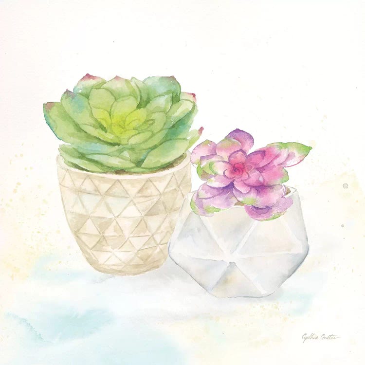 Sweet Succulent Pots III