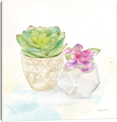 Sweet Succulent Pots III Canvas Art Print - Cynthia Coulter