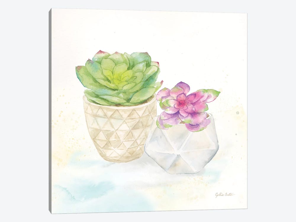 Sweet Succulent Pots III by Cynthia Coulter 1-piece Canvas Wall Art