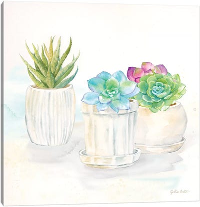 Sweet Succulent Pots IV Canvas Art Print - Cynthia Coulter
