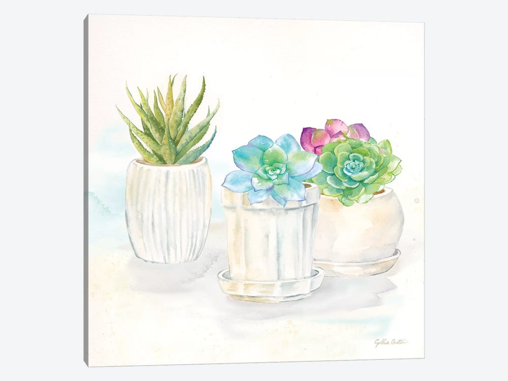 Sweet Succulent Pots IV by Cynthia Coulter 1-piece Canvas Art Print