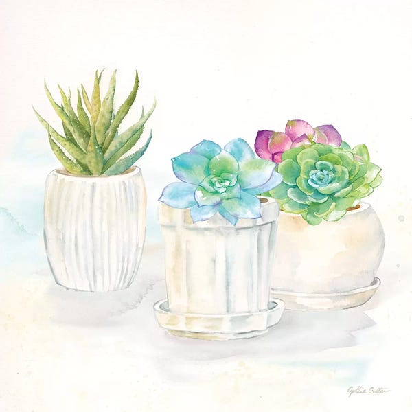 Roaring Brook Art: Sweet Succulent Pots IV by Cynthia Coulter