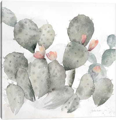 Cactus Garden Gray Blush I Canvas Art Print - Cactus Art