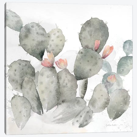 Cactus Garden Gray Blush I Canvas Print #CYN9} by Cynthia Coulter Canvas Wall Art