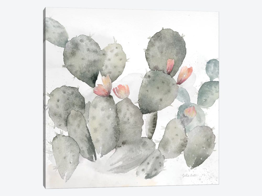 Cactus Garden Gray Blush I by Cynthia Coulter 1-piece Canvas Art Print
