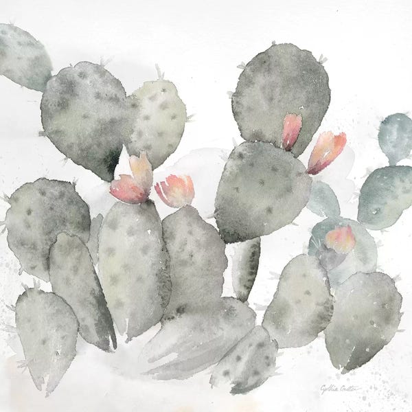 Succulents: Cactus Garden Gray Blush I by Cynthia Coulter