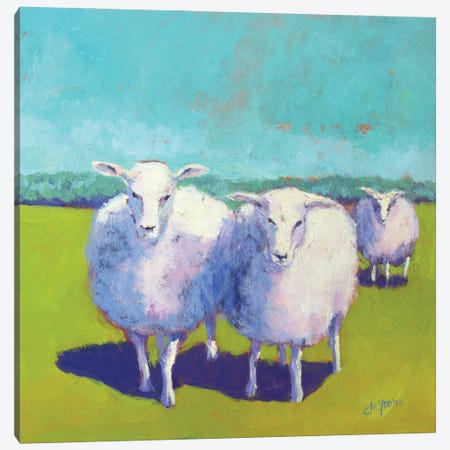 Sheep Pals I Canvas Print #CYO11} by Carol Young Canvas Art