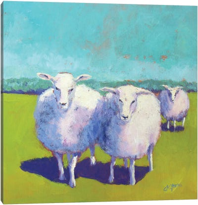Sheep Pals I Canvas Art Print - Carol Young