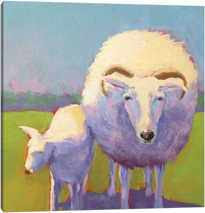 Sheep Pals II Canvas Art Print - Carol Young